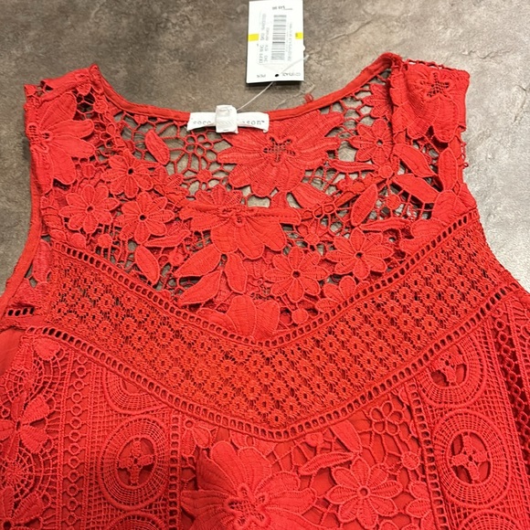 NWT. Coco + Jaimeson pretty red crocheted dress. Fully lined. Junior Medium. - Picture 9 of 16